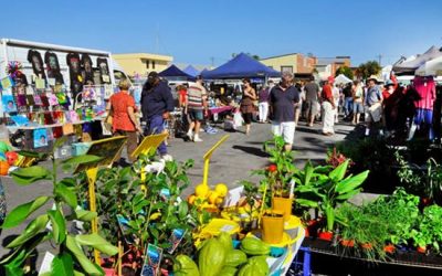 Maclean Community Markets