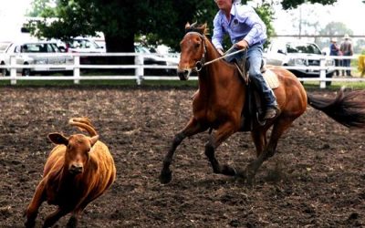 MACLEAN TWILIGHT RODEO (TBA) DECEMBER 201