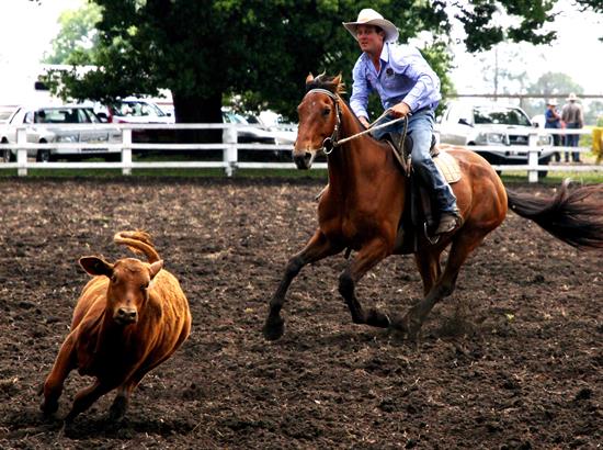 MACLEAN TWILIGHT RODEO (TBA) DECEMBER 201